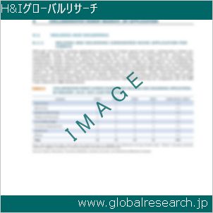 グローバルリサーチ調査レポートのイメージ